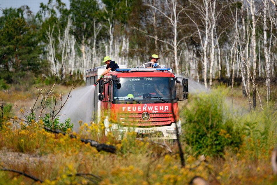 Erst im Juni brach in der Gohrischheide (Landkreis Meißen) ein großer Waldbrand aus. Im Vogtland blieb eine solche Katastrophe bislang aus.