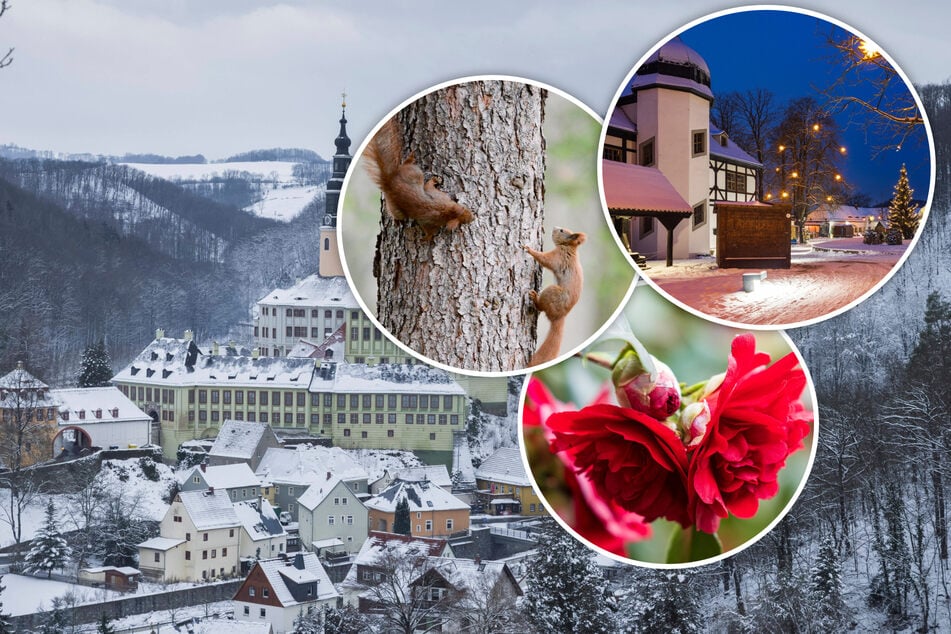 Dresden: Mit diesen acht Tipps wird der eisige Sonntag zum Erlebnis