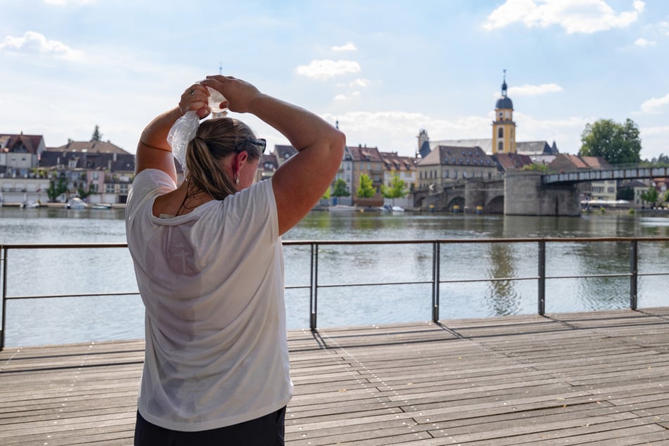 Schatten und jede Menge Wasser! Bei den aktuellen Temperaturen kommt jede Abkühlung recht.