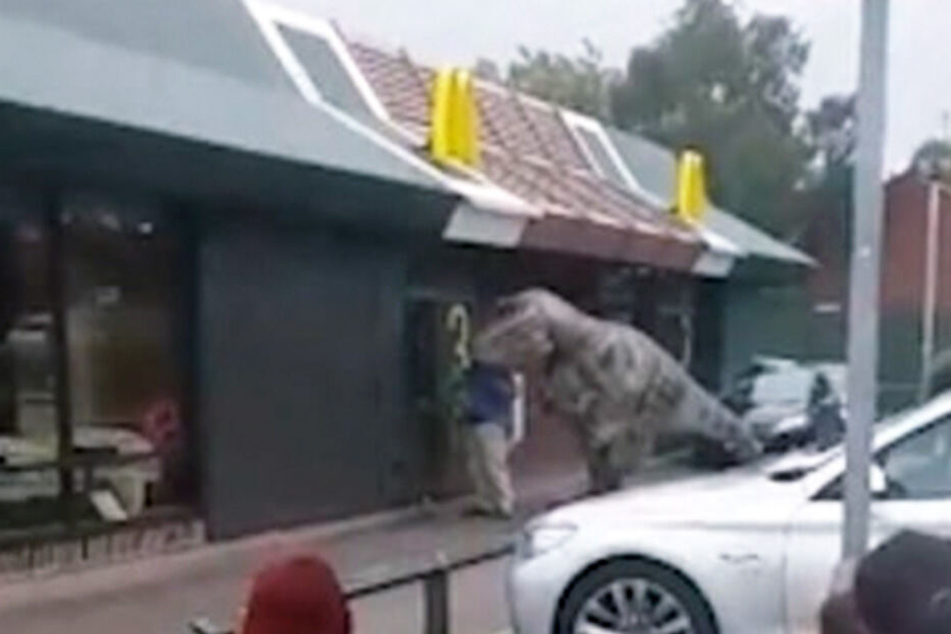 Die Besucher trauten ihren Augen kaum: T-Rex im Drive-in.