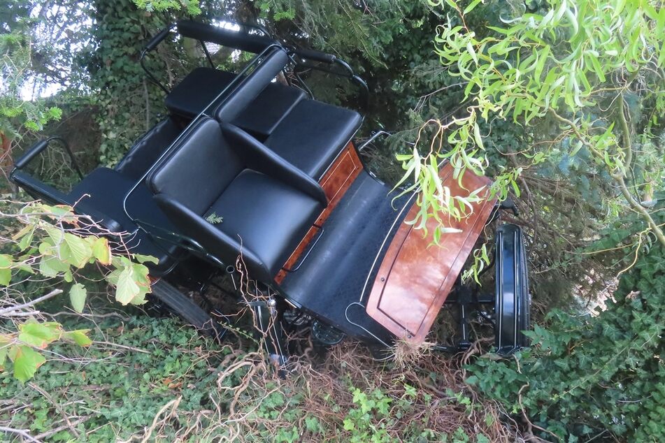 Die Kutsche landete bei dem Unfall in Euskirchen in einem Gebüsch.