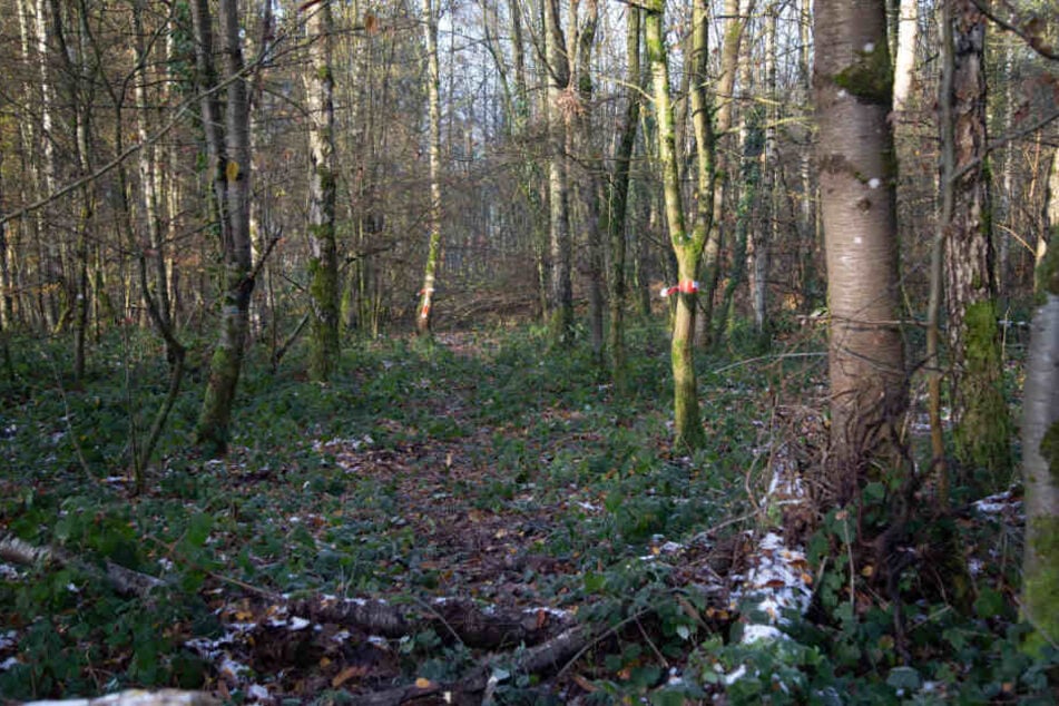In einem Waldstück fanden die Jäger sterbliche Überreste.