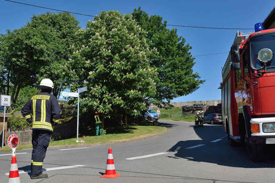 Ein Irrer sägte im Ortsteil Penna eine Kastanie neben der Straße an.