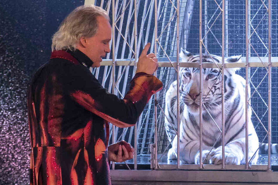 Andre Sarrasani lässt Tänzer im Käfig verschwinden. Simsalabim - und Tiger-Dame Kaya nimmt ihren Platz ein.