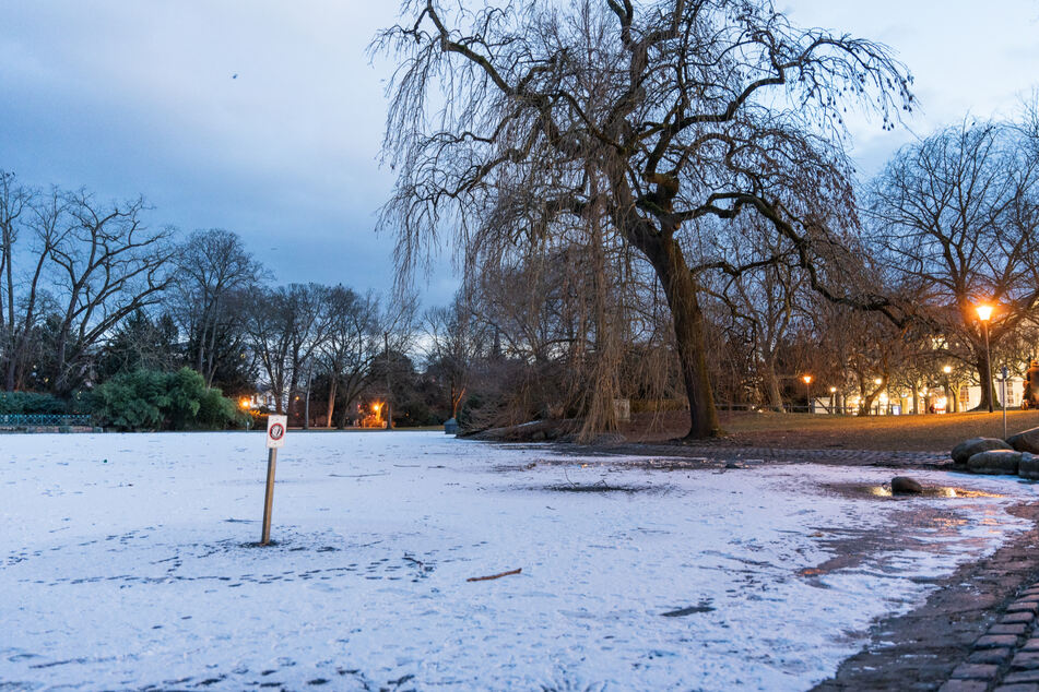 Auch wenn die Eisfläche am teilweise zugefrorenen Weiher am "Warmen Damm" kompakt wird, besteht hier akute Lebensgefahr - ein Betreten ist nicht erlaubt.