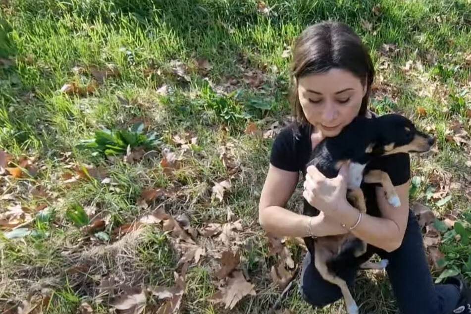 Frau rettet Hund in entlegener Gegend: Doch dann fangen die Probleme erst an