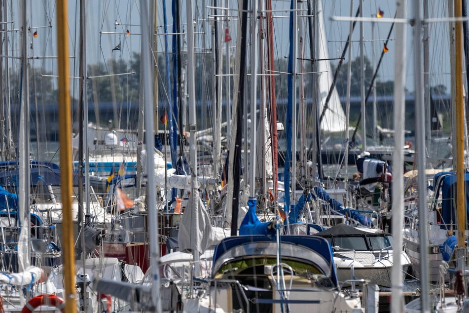 Ihre Leiche wurde auf einem Boot in einem Yachthafen entdeckt. (Symbolfoto)