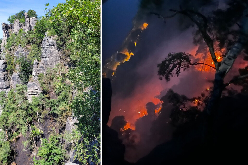 Großbrand an der Bastei: "Die Tierwelt wurde vernichtet"