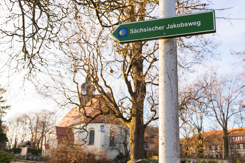 Immer der Muschel nach: Der Pilgerweg ist durchgängig mit dem europäischen Wegzeichen gekennzeichnet.