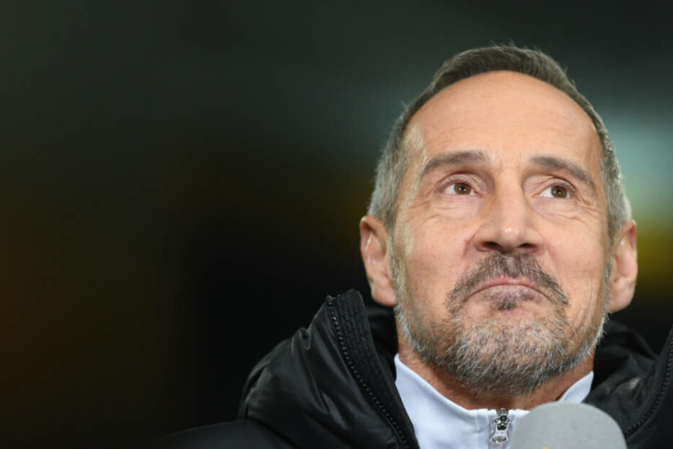 "In Dortmund kann man verlieren, aber die Art und Weise stört mich", sagte Eintracht-Coach Adi Hütter.