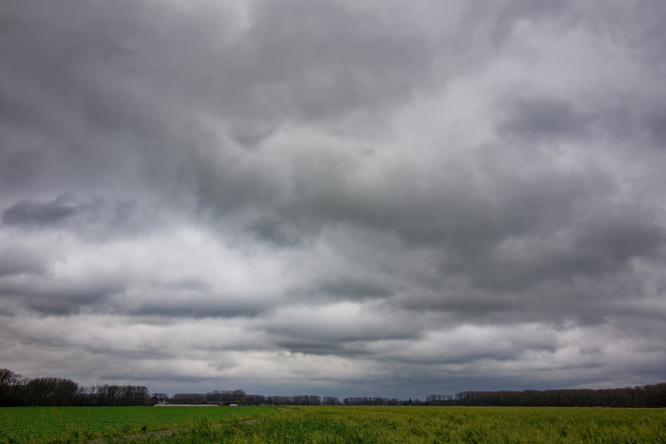 Auf Schnee und Eis folgt in NRW nun der Regen. (Archivbild)