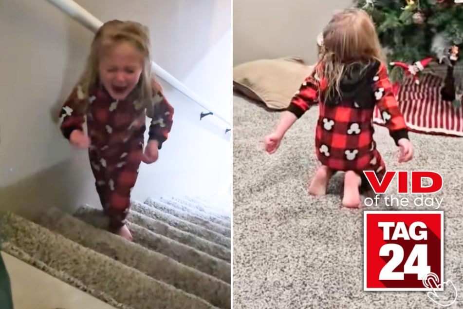 This little girl's first Elf on the Shelf made her lose her mind!