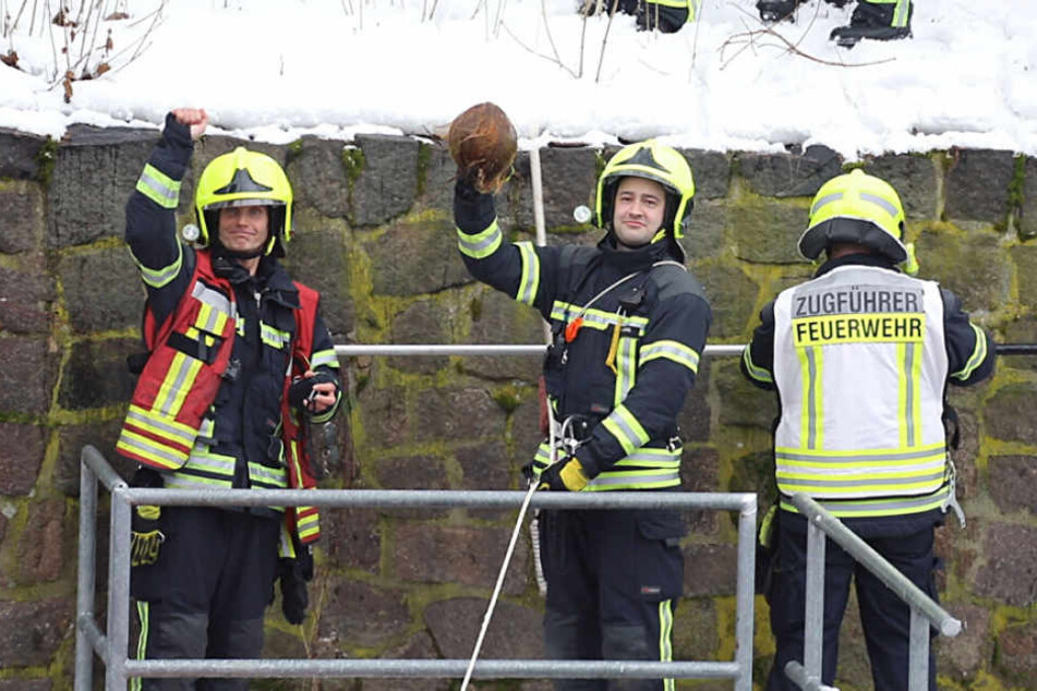 Die Feuerwehr rettete die Kokosnuss.
