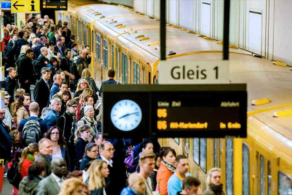 Vor dem einfahrenden Zug stürzte der 24-Jährige ins Gleisbett. Es gab kein Entkommen mehr,