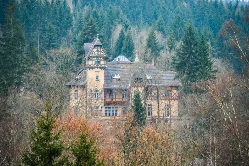 Versteckt zwischen dichtem Wald liegt das Schloss im Eibenstocker Ortsteil Wolfsgrün.