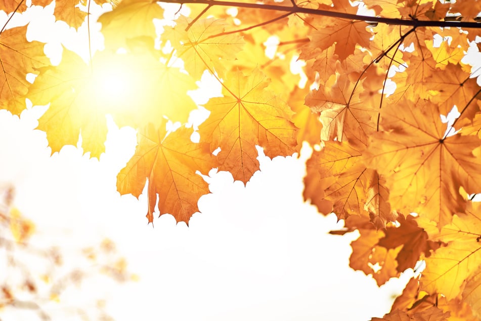 Laut Wettermodell soll es Anfang Oktober sommerlich warm werden.