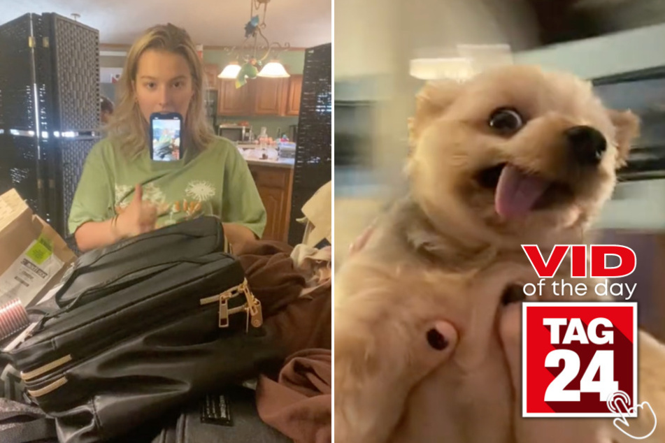 Today's Viral Video of the Day features a pup and her owner hilariously spinning around to Taylor Swift's "august" in a new TikTok trend.