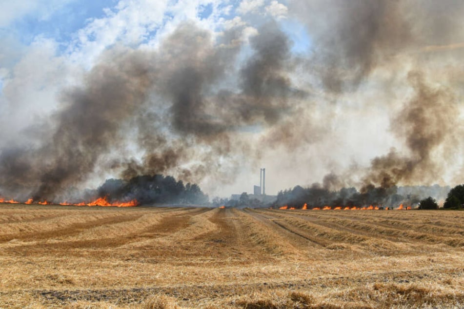 Auch ein Feld im Landkreis Rotenburg stand in Flammen.