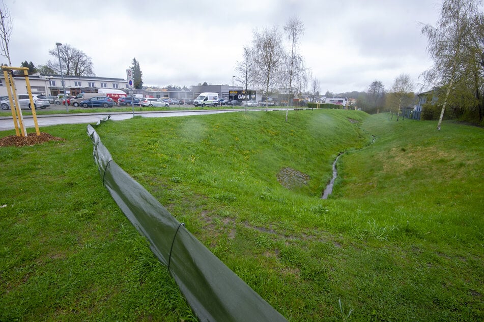 Der Grünzug des Riedbachtals wird seit Montag aufgewertet.