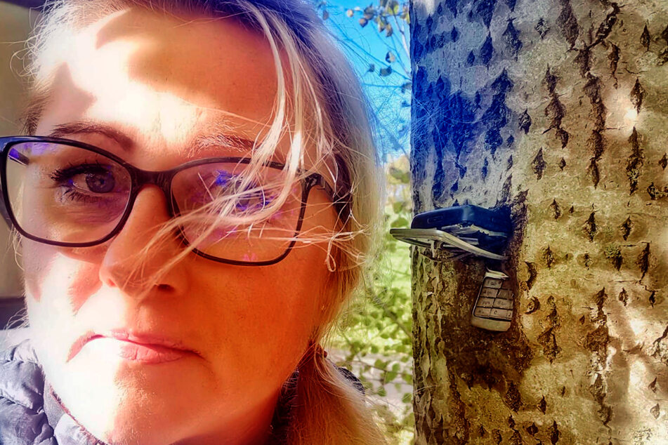 Jacqueline Domaratius findet bei einem Spaziergang ein festgewachsenes Handy, das in einem Baum steckt.