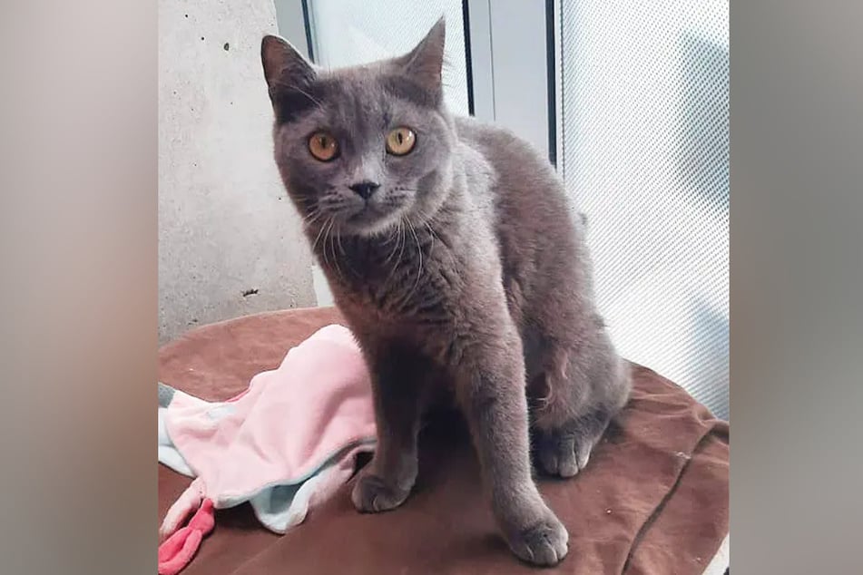 A pesar de sus limitaciones, Urmel no ha perdido su alegría de vivir.