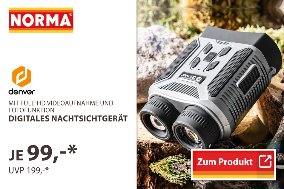 Wild-/ Überwachungskamera