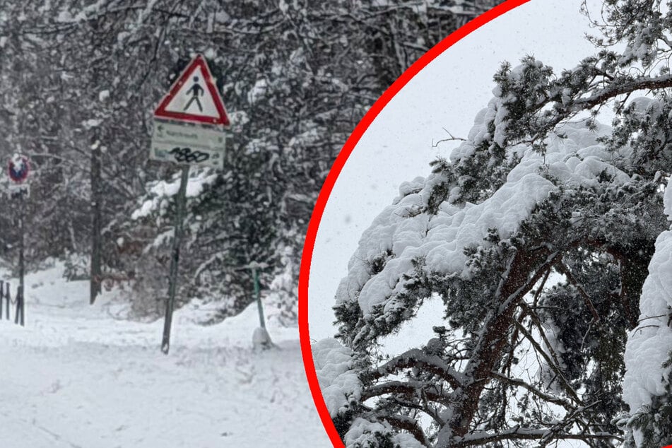 Lebensgefahr beim Spaziergang: Warnung für Nordbayern