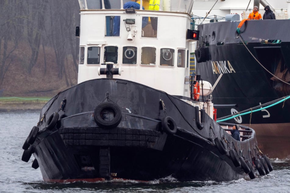 Das Schlepperschiff "Robin Hood" (vorne) soll den Wal am Ende des Tages zurück aufs offene Meer ziehen. (Archivfoto)