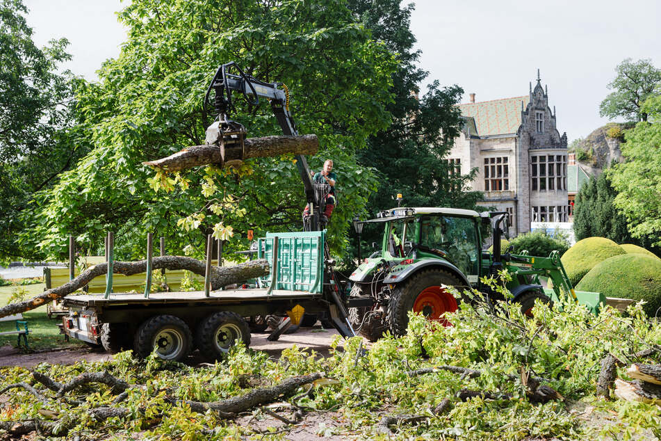 Das Unwetter verursachte schwere Schäden in der historischen Parkanlage.