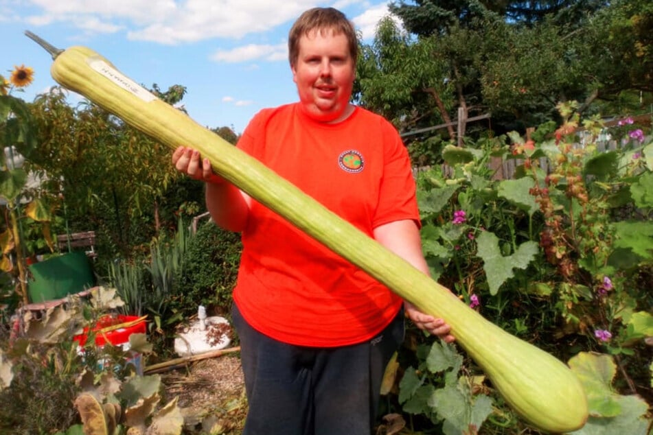 Schafft "Möhrchen Patrick" mit seinem XXL-Gemüse einen Weltrekord?