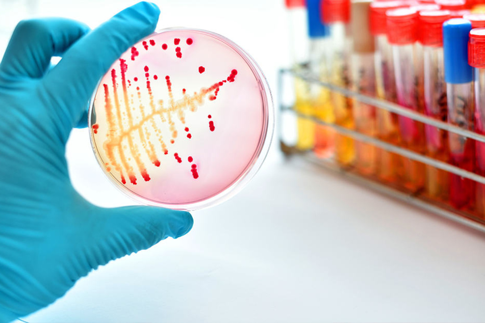 Tripper, Syphilis und Chlamydien lassen sich mit Antibiotika behandeln. Mann oder Frau muss sich nur trauen, zum Arzt zu gehen.
