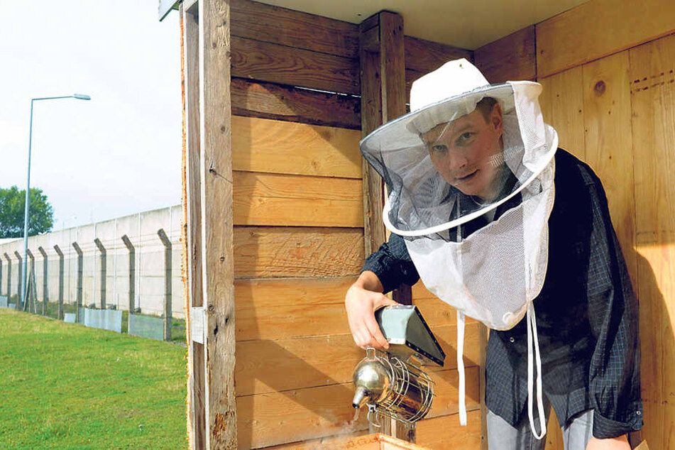 Hobby-Imker Jens Wachtel betreut das Bienenvolk in der JVA, die Häftlinge unterstützen ihn.