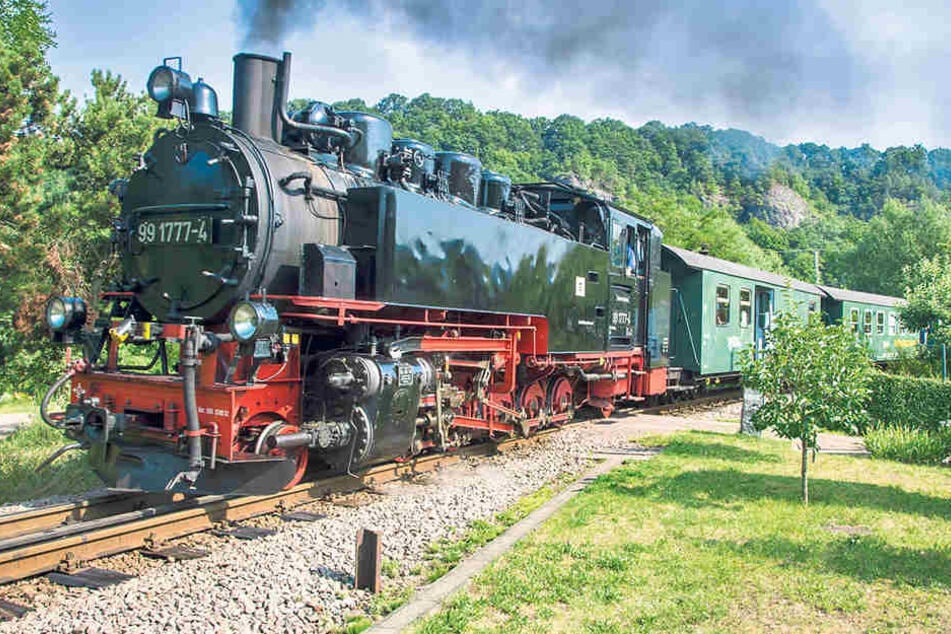 Tu-tuut, hier kommt die Eisenbahn! Auf der Weißeritztalbahn wird bald mächtig
gedampft!