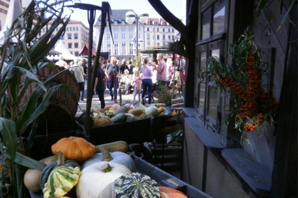 Buntes Treiben, bunte Waren: Zu den 45. Leipziger Markttagen werden wieder zahlreiche Händler in der Innenstadt zu finden sein. (Archivbild)