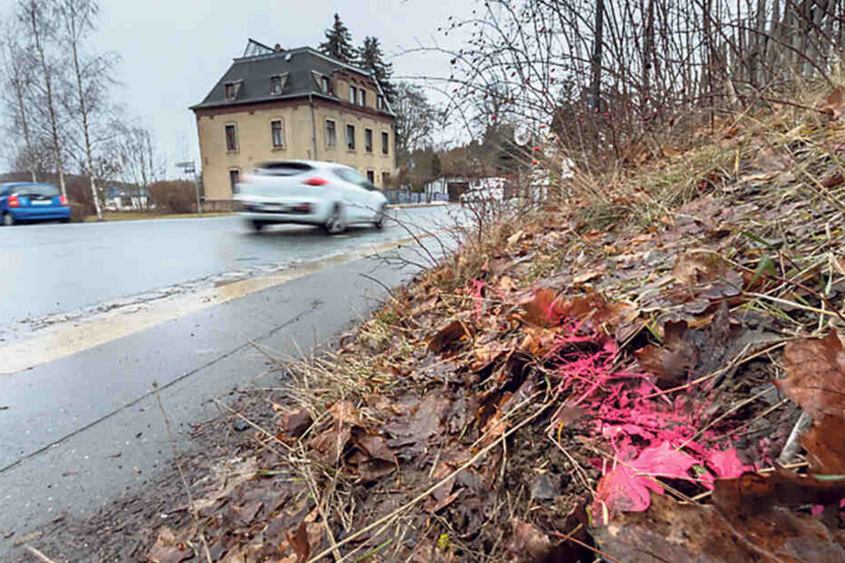 Auf dieser Oelsnitzer Straße wurden vor etwa einem Monat zwei Kinder angefahren. Der Fahrer türmte.