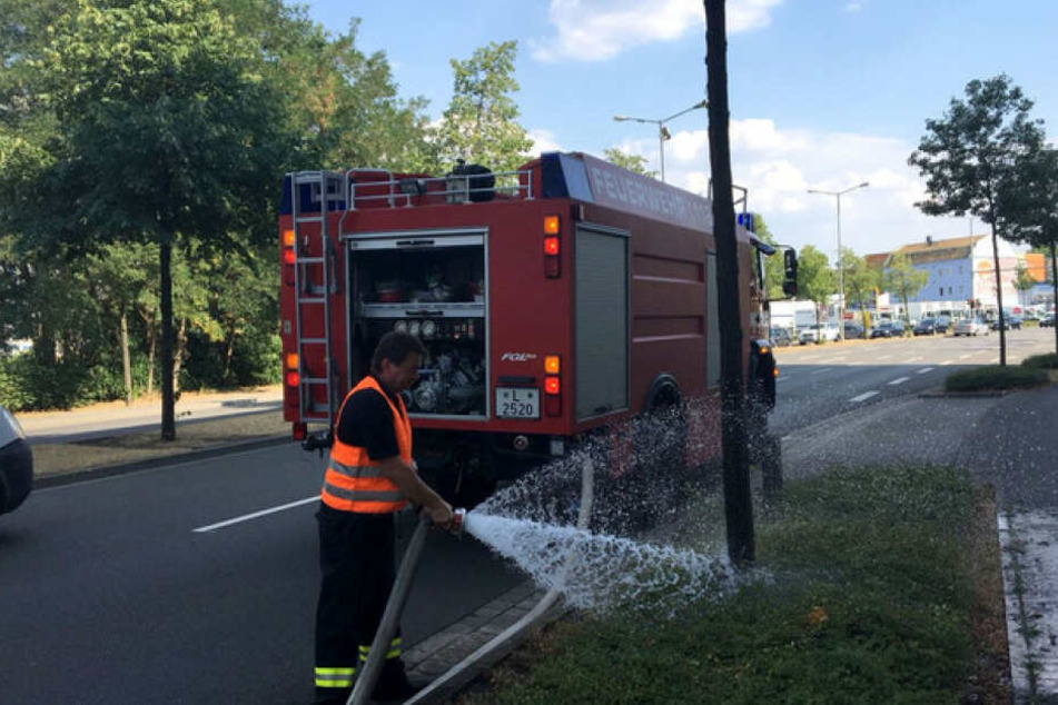 In den letzten Tagen half auch die Feuerwehr bei der Bewässerung der Bäume.