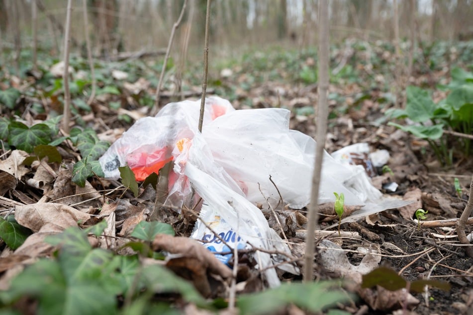 Wer seinen Müll im Wald entsorgt und erwischt wird, muss künftig richtig tief in die Tasche greifen. (Symbolfoto)