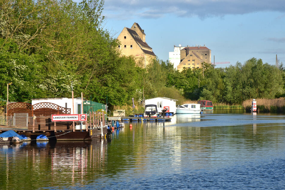 Im Elster-Saale-Kanal vermietet Stephan Lademann Boote und kümmert sich um seinen gefiederten Nachwuchs.