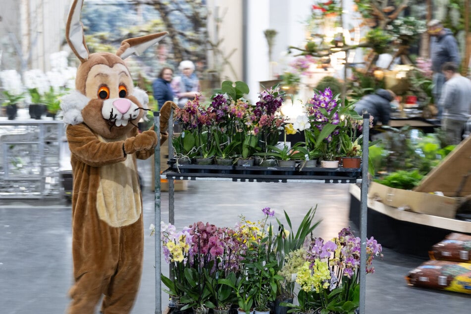 Vermutlich schaut auch in diesem Jahr ein Osterhase auf der Messe vorbei.
