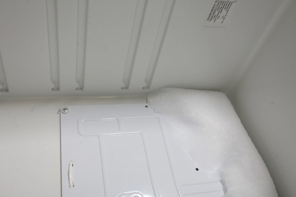 Mutter und kleine Tochter (†10) tot in Kühltruhen gefunden: Brüder unter Mordverdacht