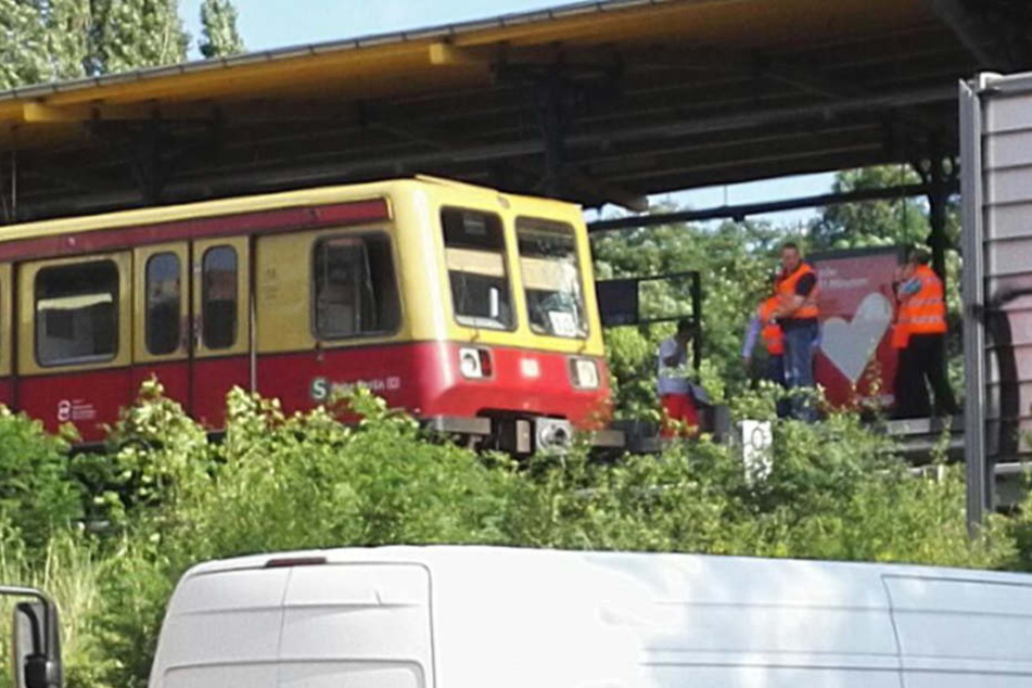 Die Frontscheibe ging bei dem Zusammenstoß kaputt.