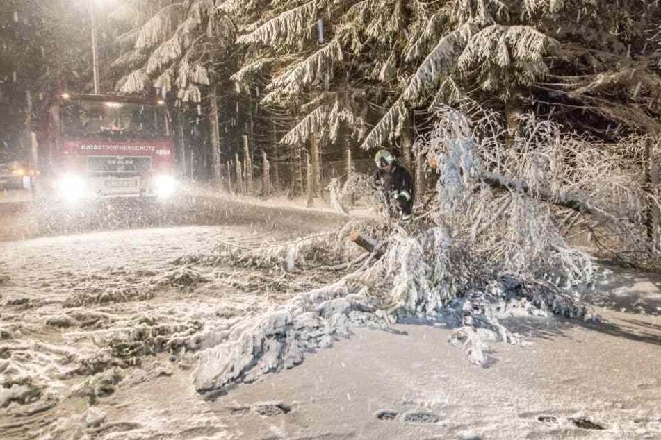 Äste sind unter der Schneelast abgebrochen. Autofahrer sollten besonders vorsichtig sein.