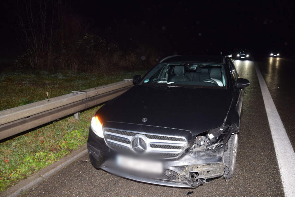 Mehrere Autos kollidierten mit den Wildschweinen.