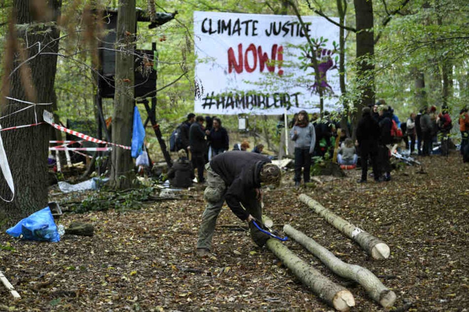 Die Polizei hatte bis zum 2. Oktober alle Baumhäuser im Hambacher Forst abgebaut. Nach dem Rodungsstopp entstehen seit Sonntag (7. Oktober) neue Häuser.