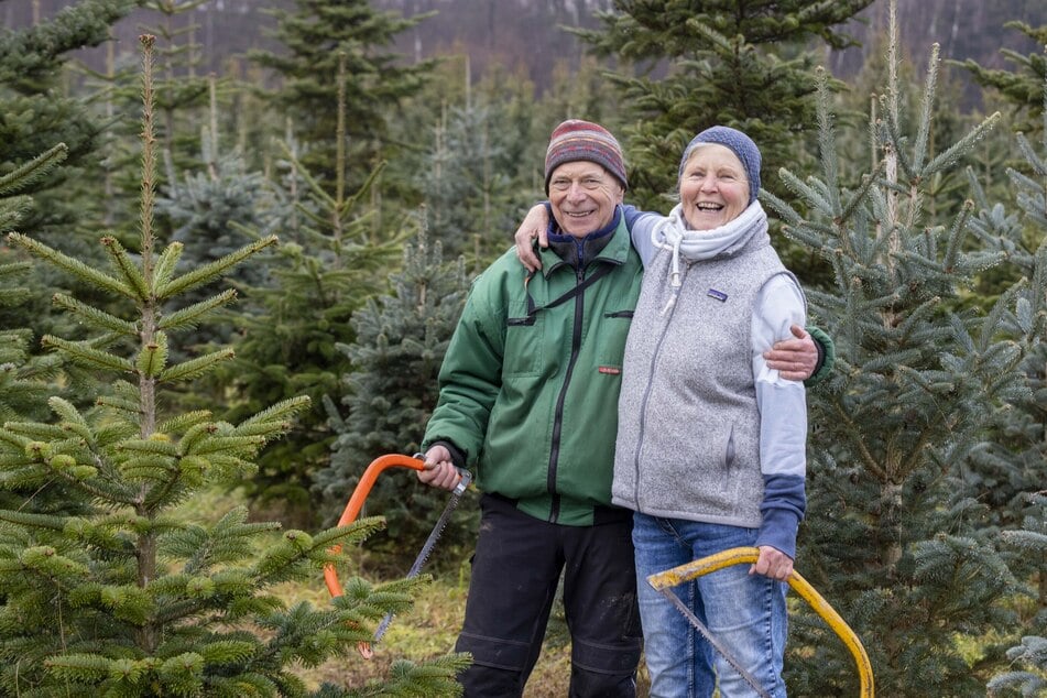 Dieter (82) und seine Frau Eugenia Grambole (74) verkaufen bis zum vierten Advent jedes Wochenende auf der Plantage an der Bautzner Landstraße 350 Weihnachtsbäume.