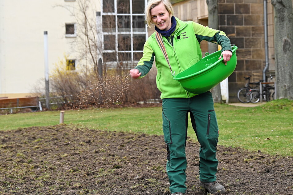 Landschaftsgärtnerin Elisa Baumgarten (36) bringt die Samenmischung aus.