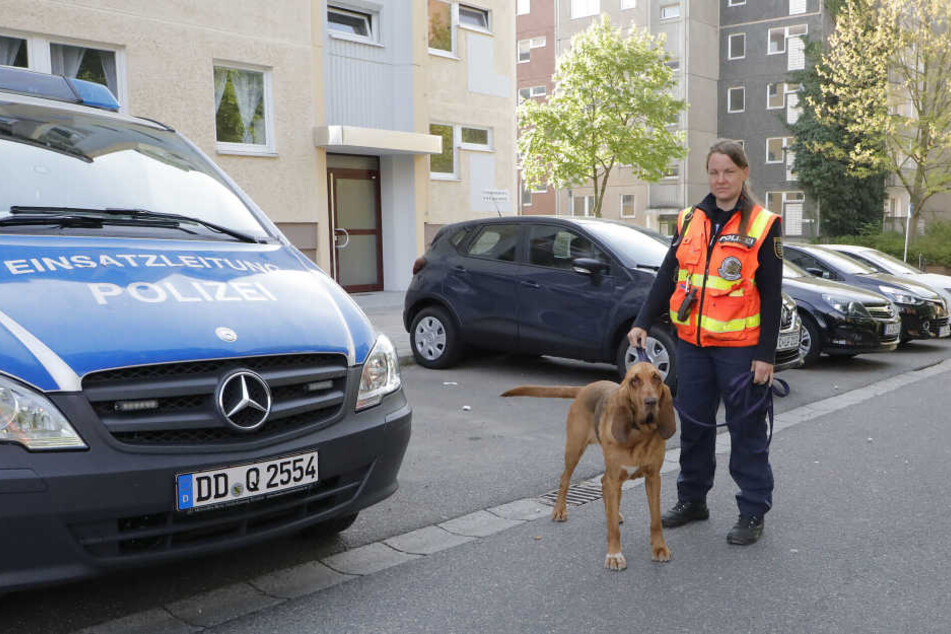 Am Sonntagmorgen suchte die Polizei mit einem Spürhund auf dem Sonnenberg nach dem vermissten Kind.