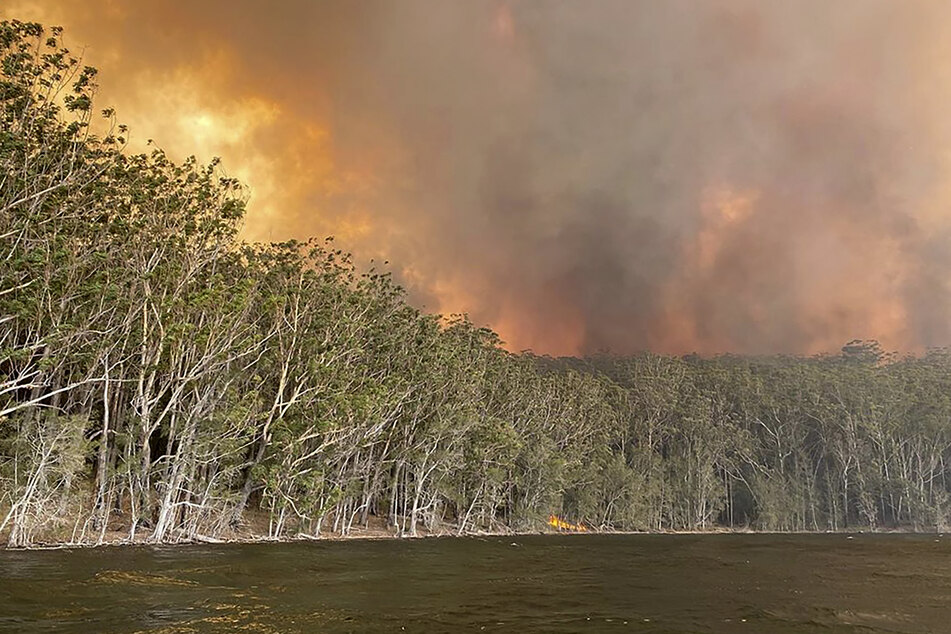 Rauchwolken steigen über einem Wald auf, in dem ein Buschfeuer wütet. (Archivbild)
