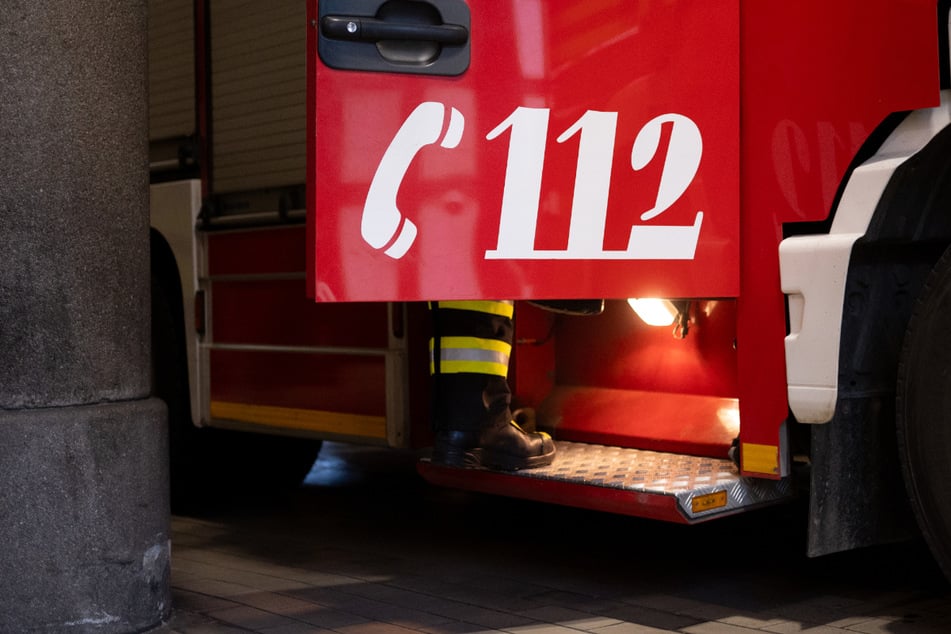 Brutales Ende: Brennende Krähe steckt Wiese in Flammen
