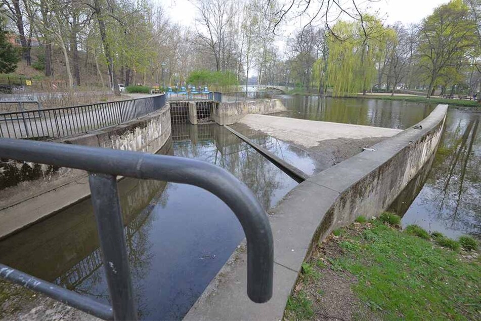 Alle zwei Jahre wird aus dem Sedimentationsbecken Schlamm entnommen. Für eine komplette Entschlammung reicht das Geld nicht.
